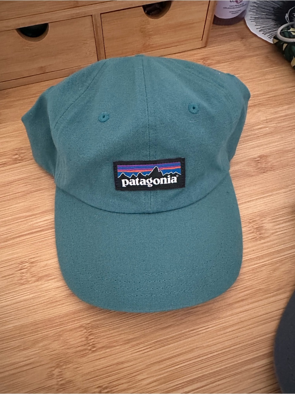 Patagonia Teal Green Baseball Cap